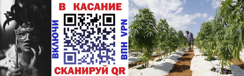 Где купить Большой Камень NBOMe Меф мяу мяу Марихуана Бутират Cocaine А ПВП