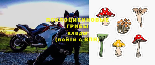 мяу мяу мука Алзамай